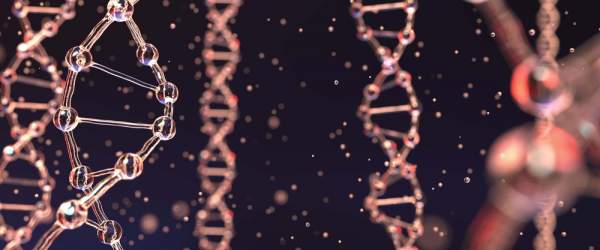 Dědičnost lipidů – je to vše jen o genetice?